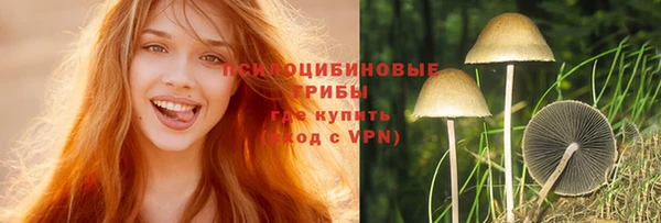 ALPHA PVP Верхний Тагил