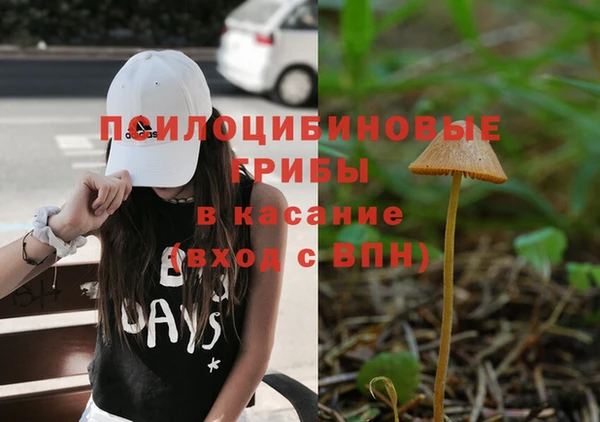 ALPHA PVP Верхний Тагил