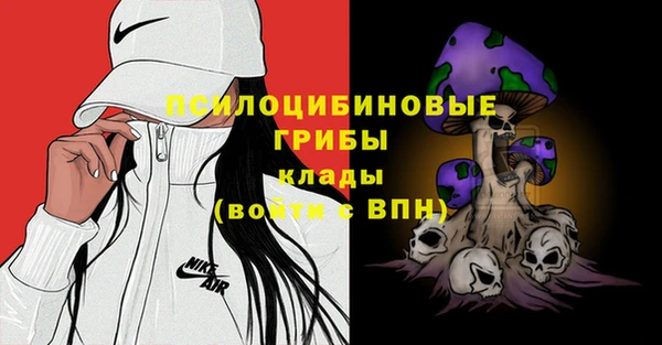 ALPHA PVP Верхний Тагил